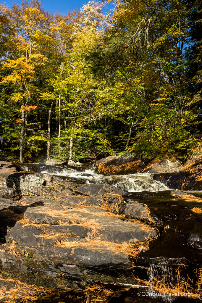Golden leaves at Stubbs Falls in Arrowhead Provincial Park in the Muskokas. This is a great place to view the Muskoka fall colours.