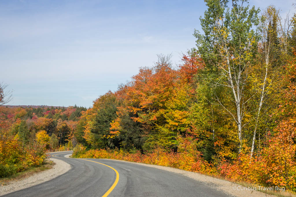 The brightly coloured leaves in Huntsville. Taking an autumn scenic drive in Muskokas near Huntville offers up plenty of winding roads and great fall colours.